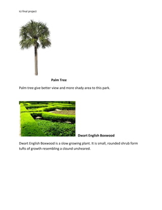 Ici final project
Palm Tree
Palm tree give better view and more shady area to this park.
Dwart English Boxwood
Dwart English Boxwood is a slow growing plant. It is small, rounded shrub form
tufts of growth resembling a clound unsheared.
 