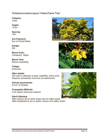 Introduction to the Construction Industry Final Project Page 14
Peltophorum pterocarpum ‘Yellow Flame Tree’
Category:
Trees
Height:
15.2m
Spacing:
12m
Sun Exposure:
Sun to Partial Shade
Danger:
N/A
Bloom Color:
Translucent Yellow
Bloom Time:
Blooms repeatedly
Foliage:
Dedicious
Other details:
This plant is attractive to bees, butterflies and/or birds
Requires consistently moist soil; but well-drained
Soil pH requirements:
6.6 to 7.5 (neutral)
Propagation Methods:
From seeds; direct sow outdoors
Seed Collecting:
Allow pods to dry on plant; break open to collect seeds
Allow seedheads to dry on plants; remove and collect seeds
 