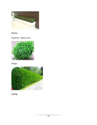 16
Plants
Soleirolia（Baby’s tear）
Hedge
Lamp
 