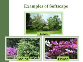 Softscape Examples ici | PPTX