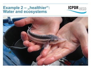 Example 2 – „healthier“:
Water and ecosystems
RalfReinartz
 