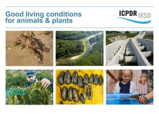 Good living conditions
for animals & plants
ICPDR/ViktórPálinger
Donauauen.at/Kovacs
A.Künzelmann/UFZ
A.Künzelmann/UFZ
A.Künzelmann/UFZ
 