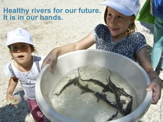 ICPDR/ViktórPálinger
Healthy rivers for our future.
It is in our hands.
 