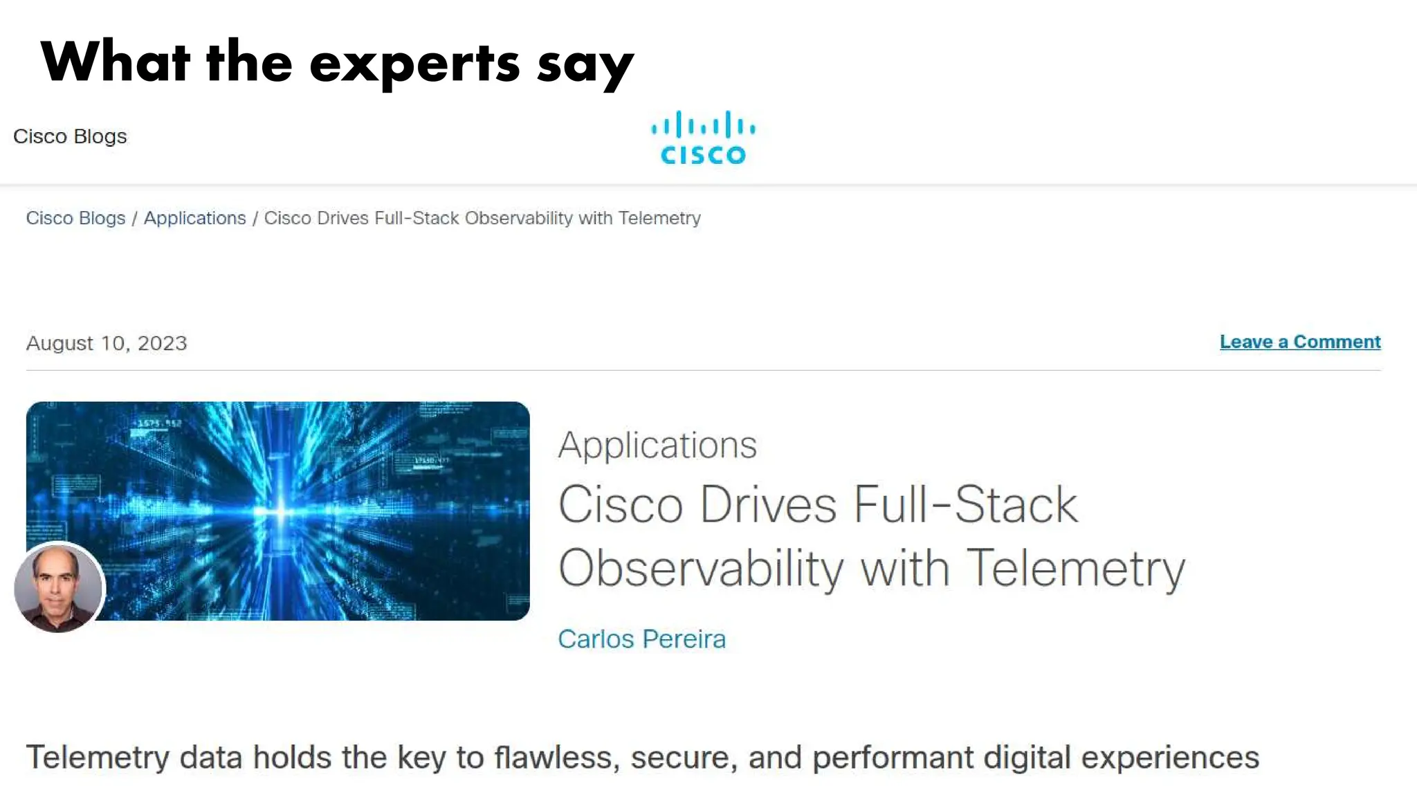 What the experts say
 