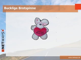 www.netways.de
Bucklige Brotspinne
 
