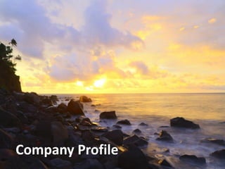 Introduction to Platform Strategy for TAFS September 07, 2016
Company Profile
 