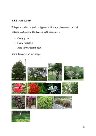 35
9.1.3 Soft scape
This park contain a various type of soft scape .However the main
criteria in choosing the type of soft scape are :
- Easily grow
- Easily maintain
- Able to withstand heat
Some Example of soft scape :
 