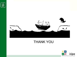 Napier stunt disease is transmitted by a leafhopper vector Maiestas (=Recilia) banda in Western Kenya