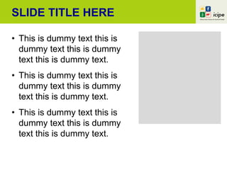SLIDE TITLE HERE
• This is dummy text this is
dummy text this is dummy
text this is dummy text.
• This is dummy text this is
dummy text this is dummy
text this is dummy text.
• This is dummy text this is
dummy text this is dummy
text this is dummy text.
 