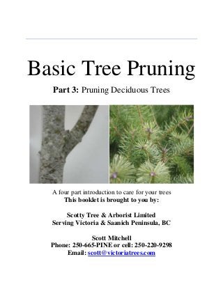 Basic Tree Pruning
Part 3: Pruning Deciduous Trees
A four part introduction to care for your trees
This booklet is brought to you by:
Scotty Tree & Arborist Limited
Serving Victoria & Saanich Peninsula, BC
Scott Mitchell
Phone: 250-665-PINE or cell: 250-220-9298
Email: scott@victoriatrees.com
 