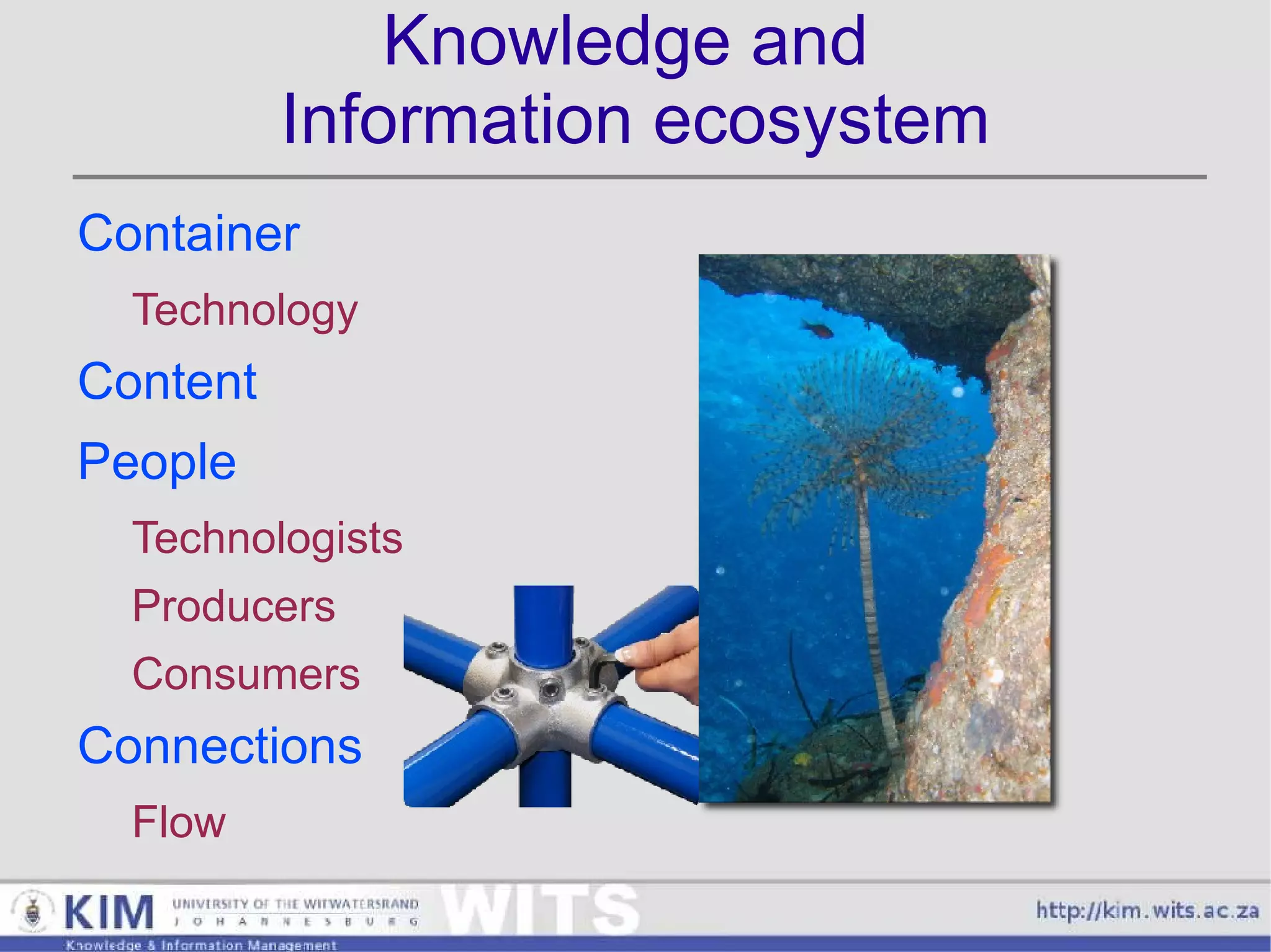 People Technologists 