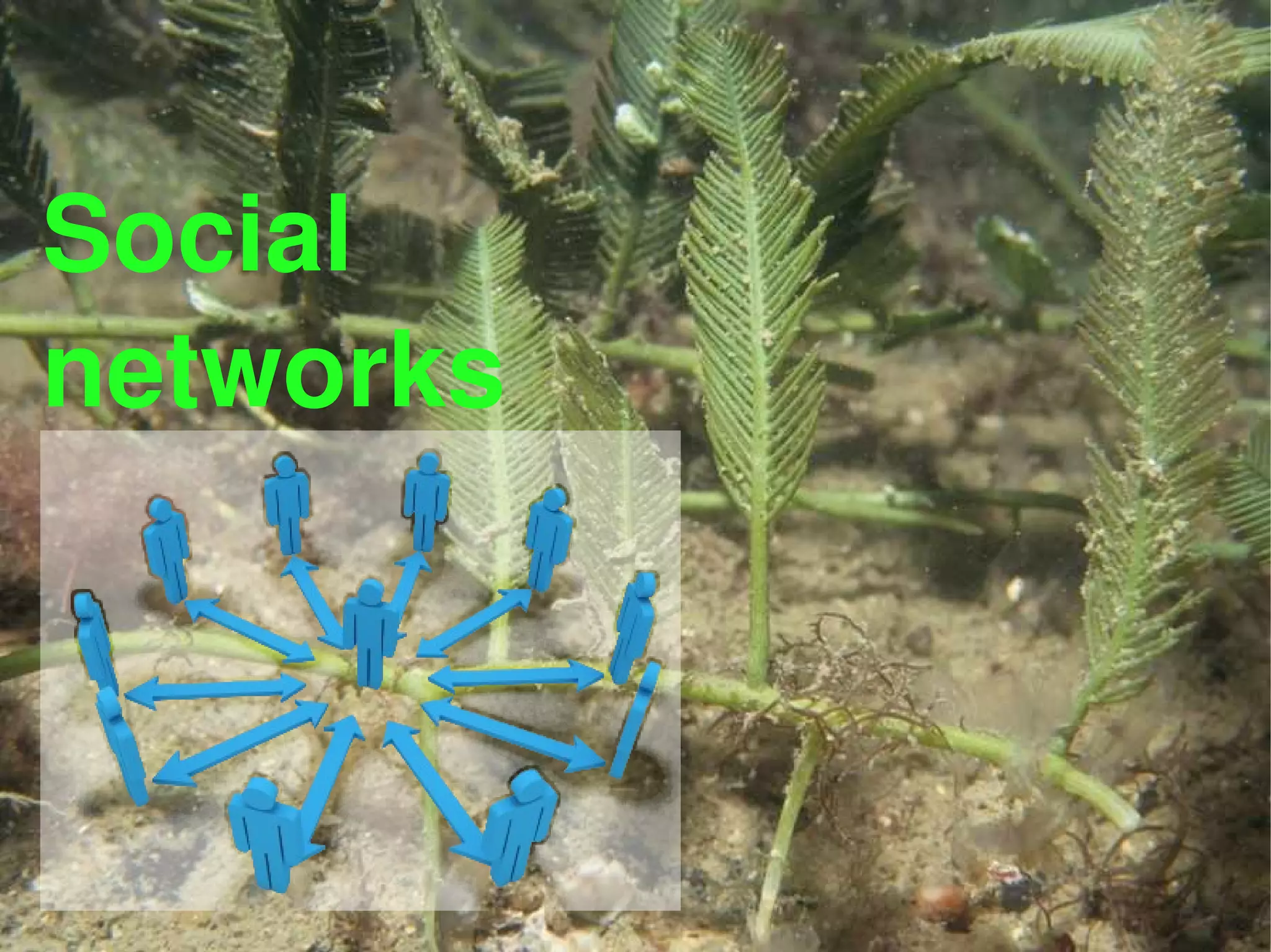 Connections Flow People Technologists 