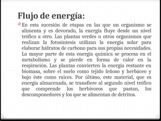 Flujo de energía:
0 En esta sucesión de etapas en las que un organismo se
alimenta y es devorado, la energía fluye desde un nivel
trófico a otro. Las plantas verdes u otros organismos que
realizan la fotosíntesis utilizan la energía solar para
elaborar hidratos de carbono para sus propias necesidades.
La mayor parte de esta energía química se procesa en el
metabolismo y se pierde en forma de calor en la
respiración. Las plantas convierten la energía restante en
biomasa, sobre el suelo como tejido leñoso y herbáceo y
bajo éste como raíces. Por último, este material, que es
energía almacenada, se transfiere al segundo nivel trófico
que comprende los herbívoros que pastan, los
descomponedores y los que se alimentan de detritos.
 