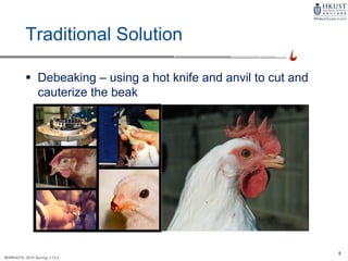 9
MARK4210, 2014 Spring, L1/L2
Traditional Solution
 Debeaking – using a hot knife and anvil to cut and
cauterize the beak
 