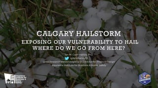 IBHSRESEARCH
CALGARY HAILSTORM
EXPOSING OUR VULNERABILITY TO HAIL
WHERE DO WE GO FROM HERE?
 