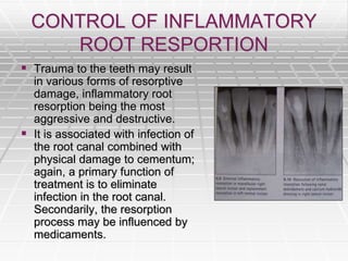 CONTROL OF INFLAMMATORY
ROOT RESPORTION
 Trauma to the teeth may result
in various forms of resorptive
damage, inflammatory root
resorption being the most
aggressive and destructive.
 It is associated with infection of
the root canal combined with
physical damage to cementum;
again, a primary function of
treatment is to eliminate
infection in the root canal.
Secondarily, the resorption
process may be influenced by
medicaments.
 