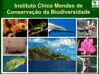 Instituto Chico Mendes de
Conservação da Biodiversidade
 