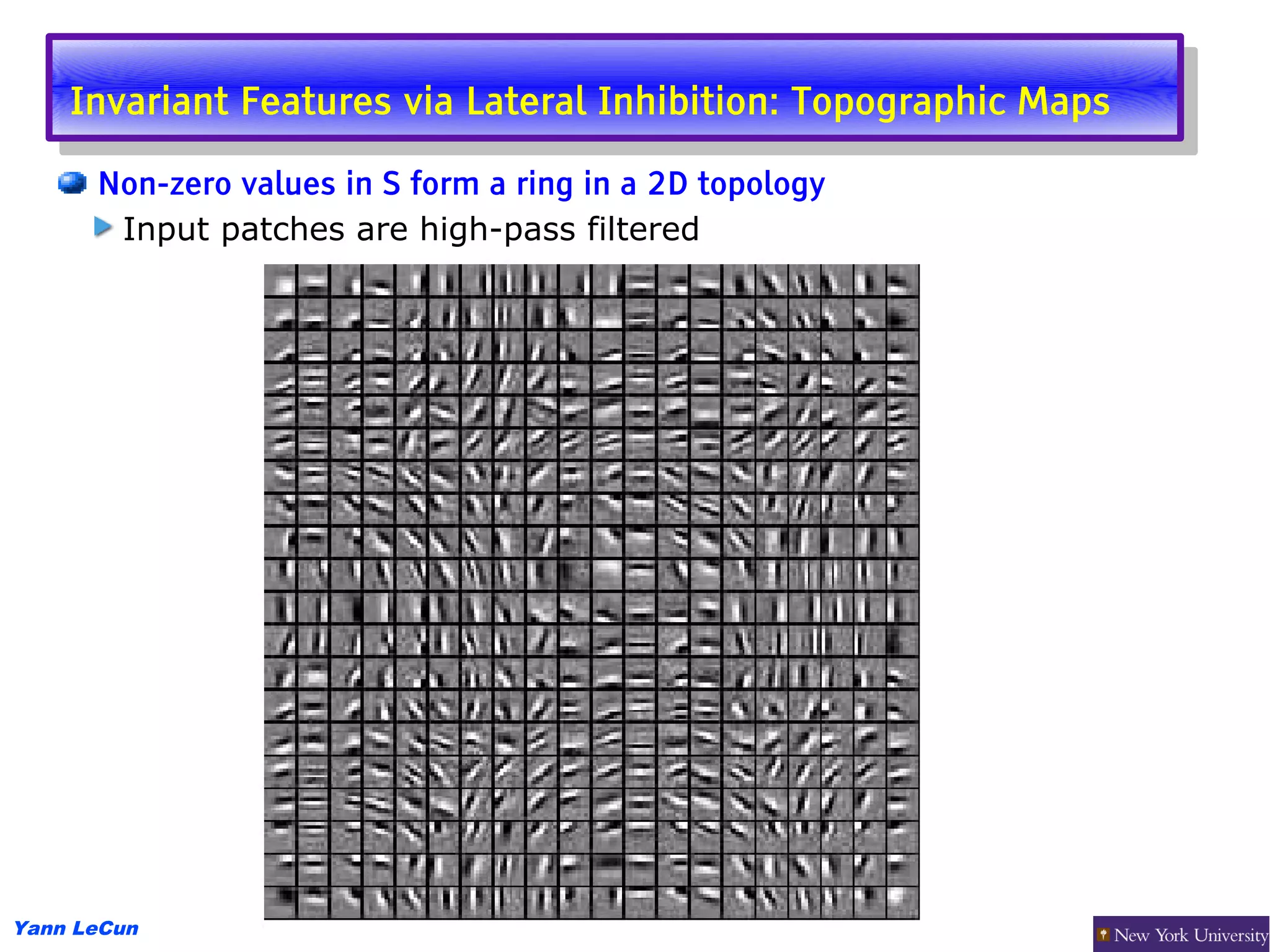 Invariant Features via Lateral Inhibition: Topographic Maps
     Invariant Features via Lateral Inhibition: Topographic Maps
      Non-zero values in S form a ring in a 2D topology
       Input patches are high-pass filtered




Yann LeCun
 
