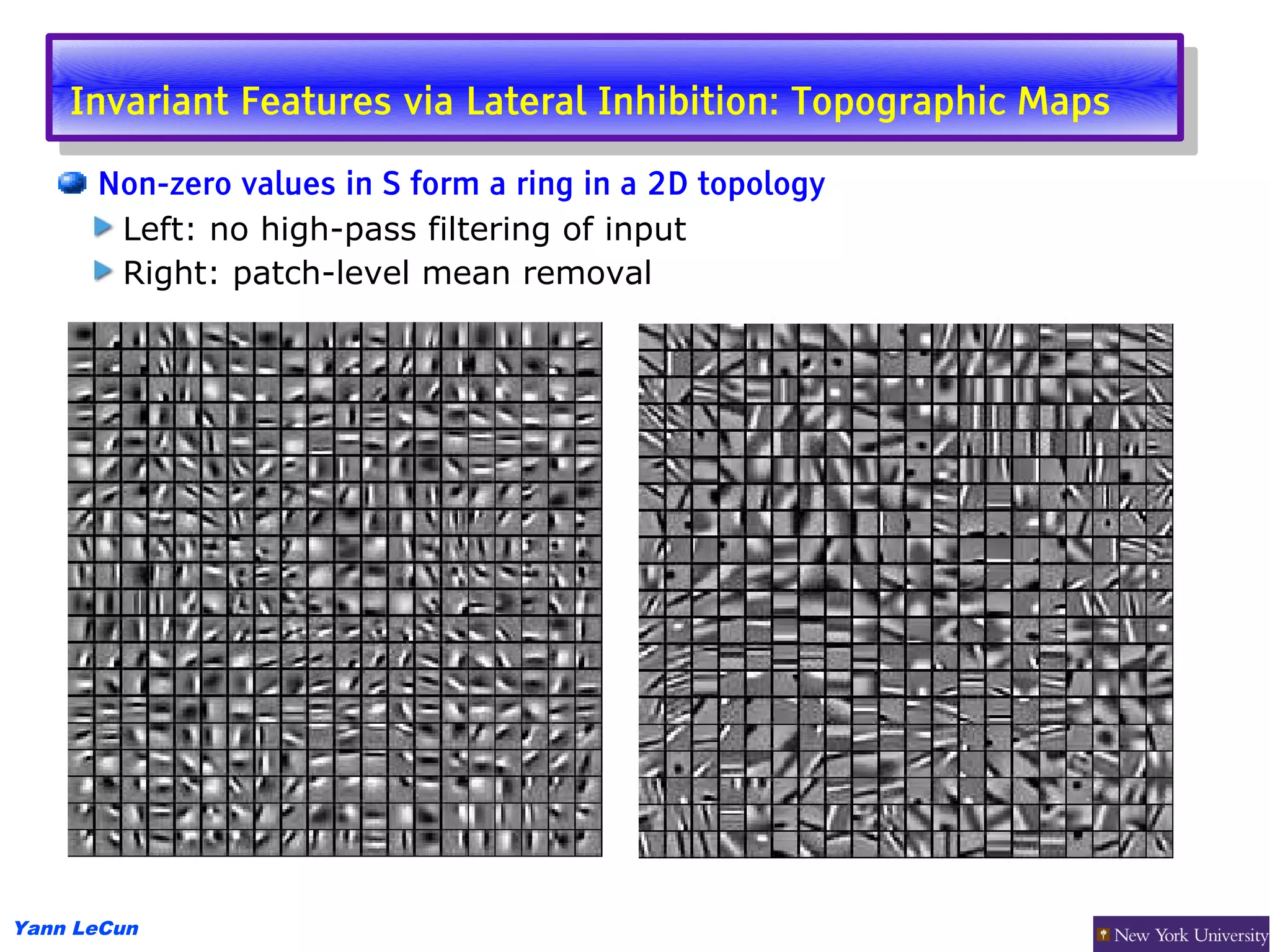 Invariant Features via Lateral Inhibition: Topographic Maps
     Invariant Features via Lateral Inhibition: Topographic Maps
      Non-zero values in S form a ring in a 2D topology
       Left: no high-pass filtering of input
       Right: patch-level mean removal




Yann LeCun
 