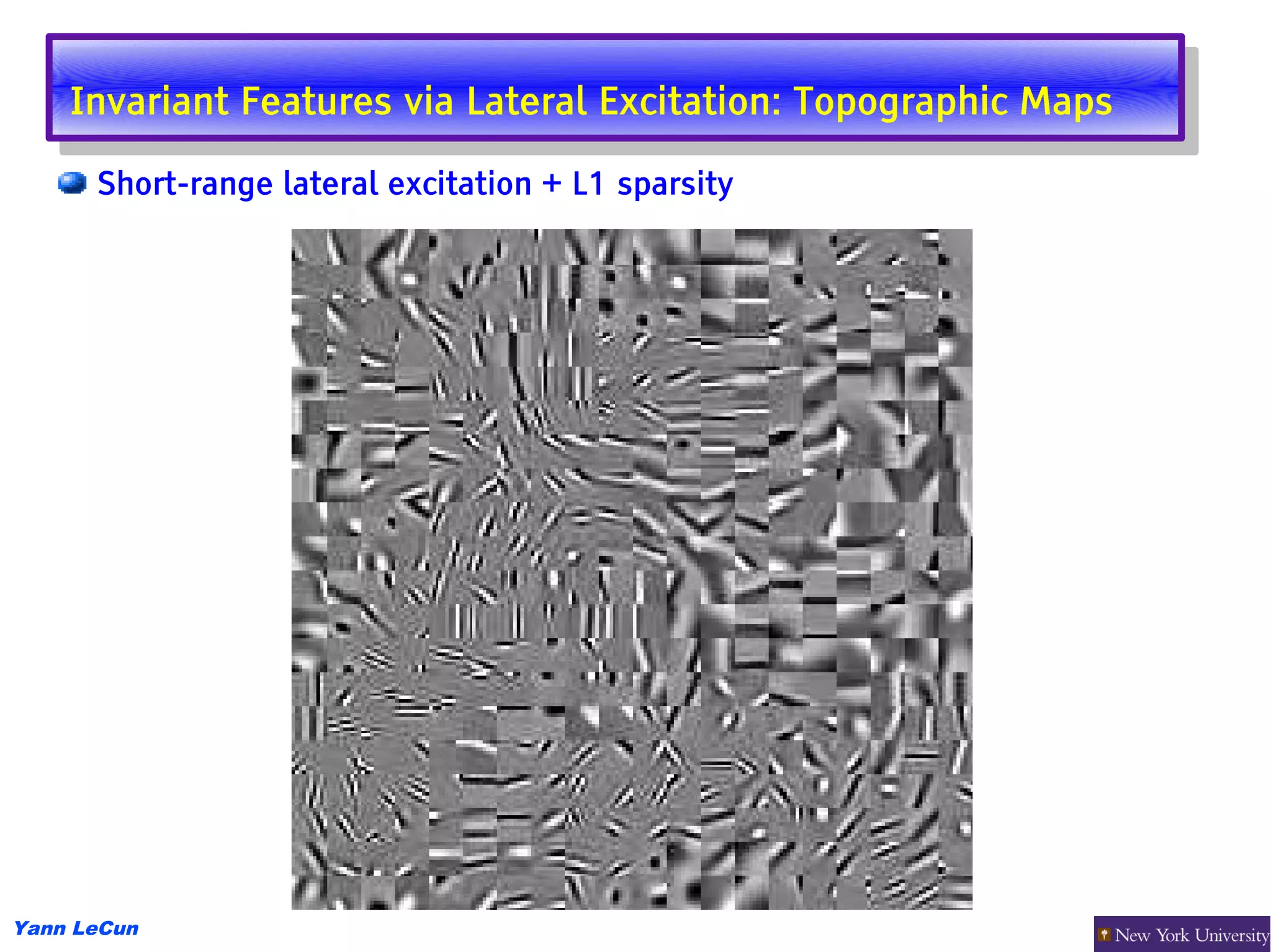 Invariant Features via Lateral Excitation: Topographic Maps
     Invariant Features via Lateral Excitation: Topographic Maps
      Short-range lateral excitation + L1 sparsity




Yann LeCun
 