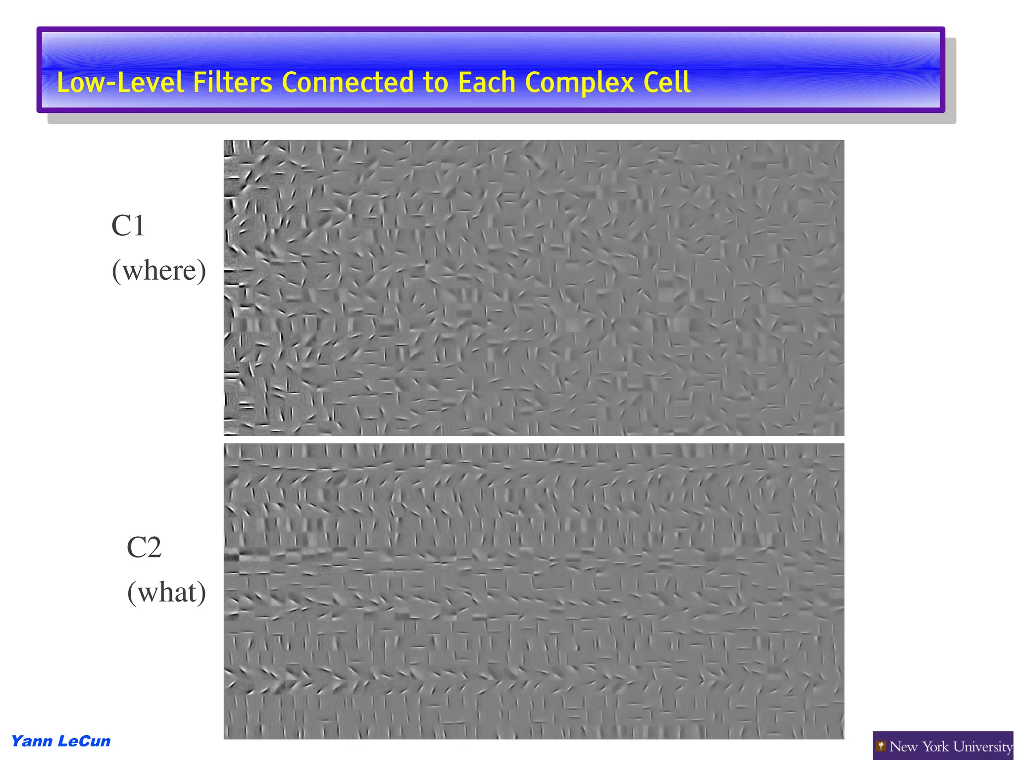 Low-Level Filters Connected to Each Complex Cell
     Low-Level Filters Connected to Each Complex Cell



             C1
             (where)




              C2
              (what)



Yann LeCun
 