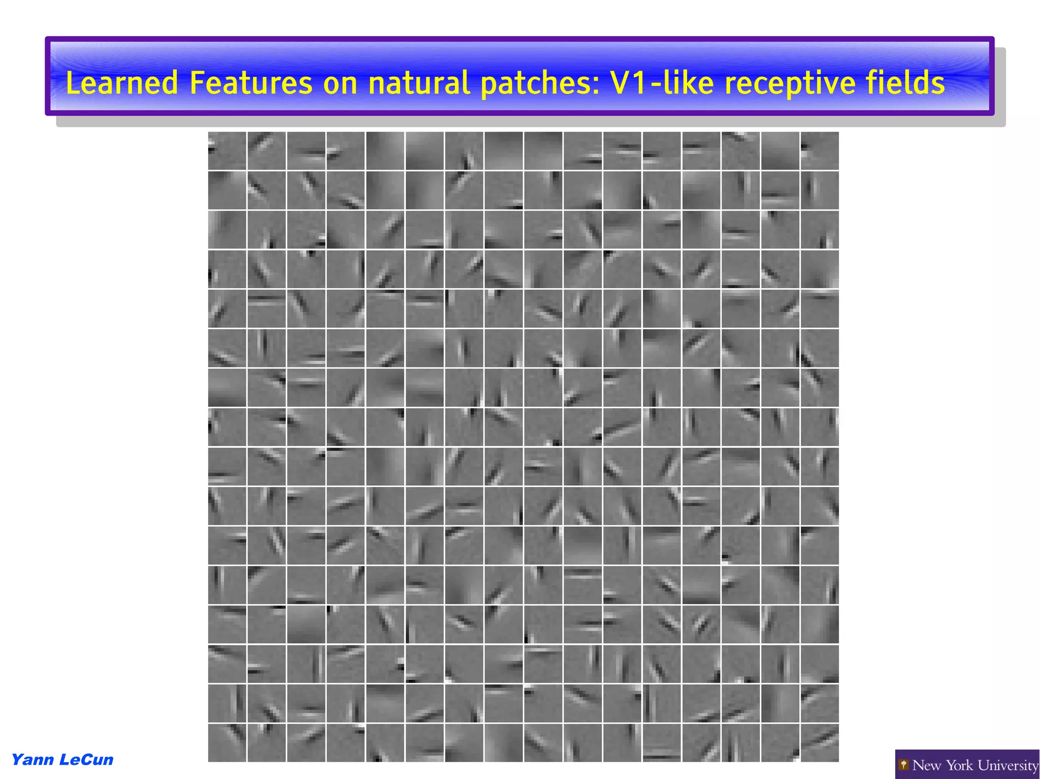 Learned Features on natural patches: V1-like receptive fields
      Learned Features on natural patches: V1-like receptive fields




Yann LeCun
 
