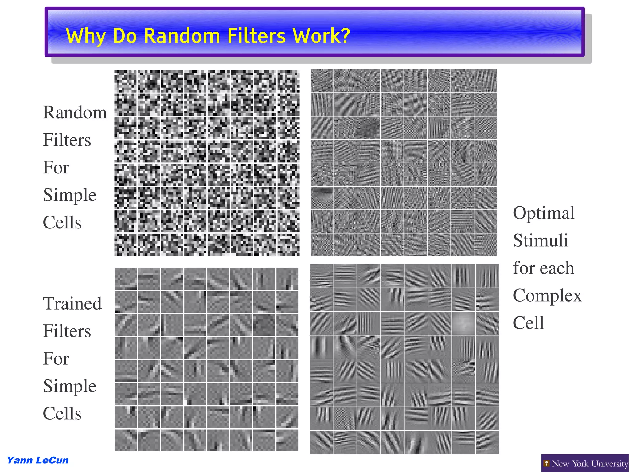Why Do Random Filters Work?
         Why Do Random Filters Work?


     Random
     Filters
     For
     Simple
                                       Optimal
     Cells
                                       Stimuli
                                       for each
     Trained                           Complex 
     Filters                           Cell
     For
     Simple
     Cells

Yann LeCun
 