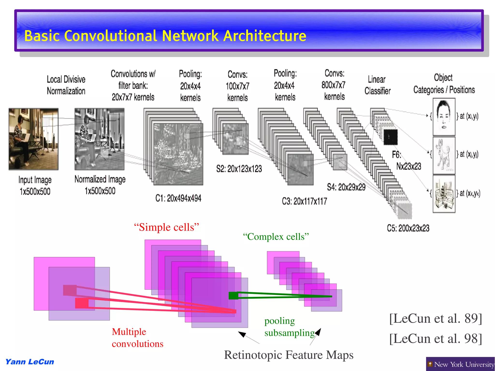 Basic Convolutional Network Architecture
    Basic Convolutional Network Architecture




                    “Simple cells”
                                        “Complex cells”




                                            pooling             [LeCun et al. 89]
               Multiple                     subsampling
               convolutions                                     [LeCun et al. 98]
Yann LeCun
                                     Retinotopic Feature Maps
 