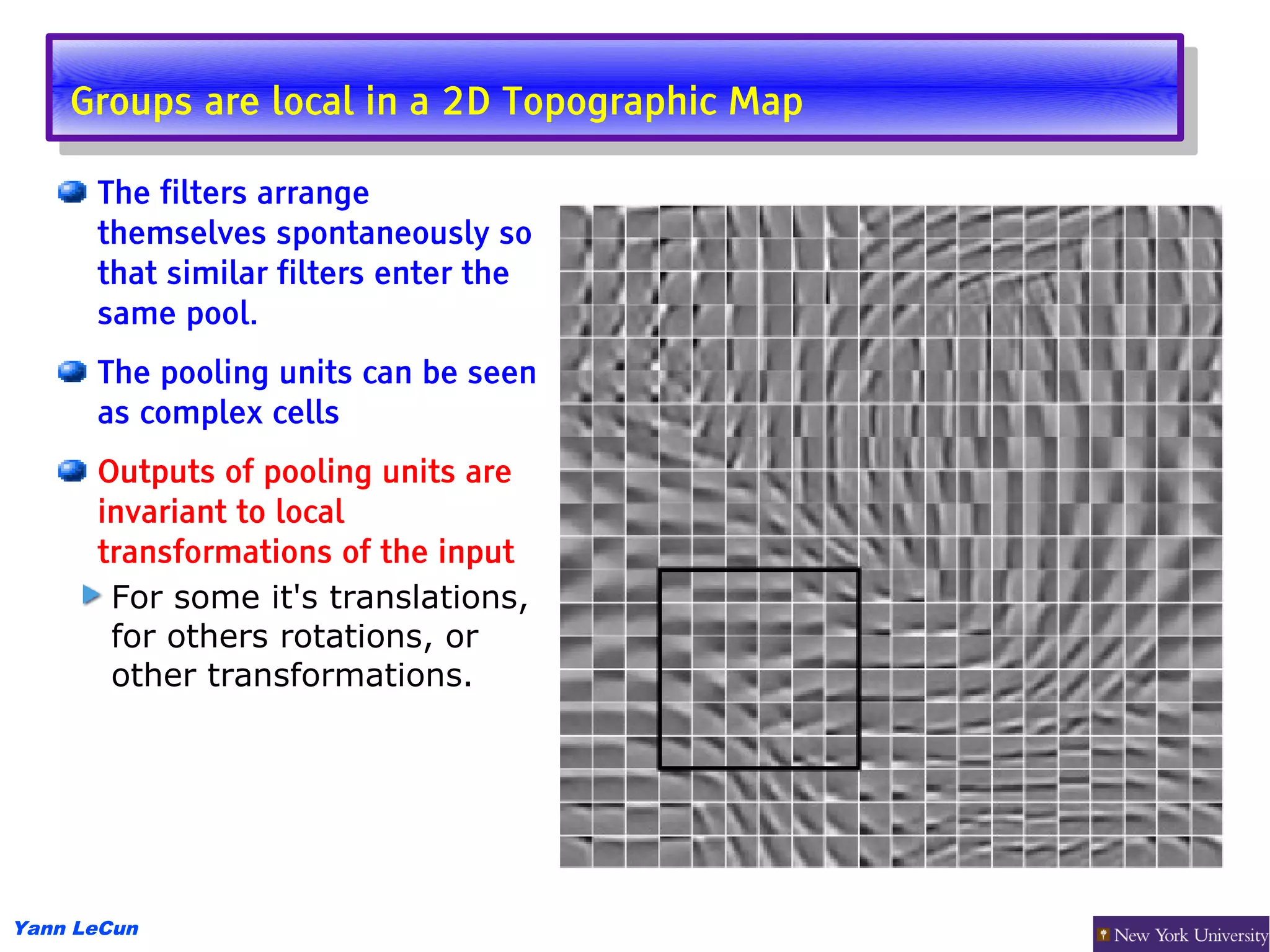 Groups are local in aa2D Topographic Map
     Groups are local in 2D Topographic Map
      The filters arrange
      themselves spontaneously so
      that similar filters enter the
      same pool.
      The pooling units can be seen
      as complex cells
      Outputs of pooling units are
      invariant to local
      transformations of the input
       For some it's translations,
       for others rotations, or
       other transformations.




Yann LeCun
 