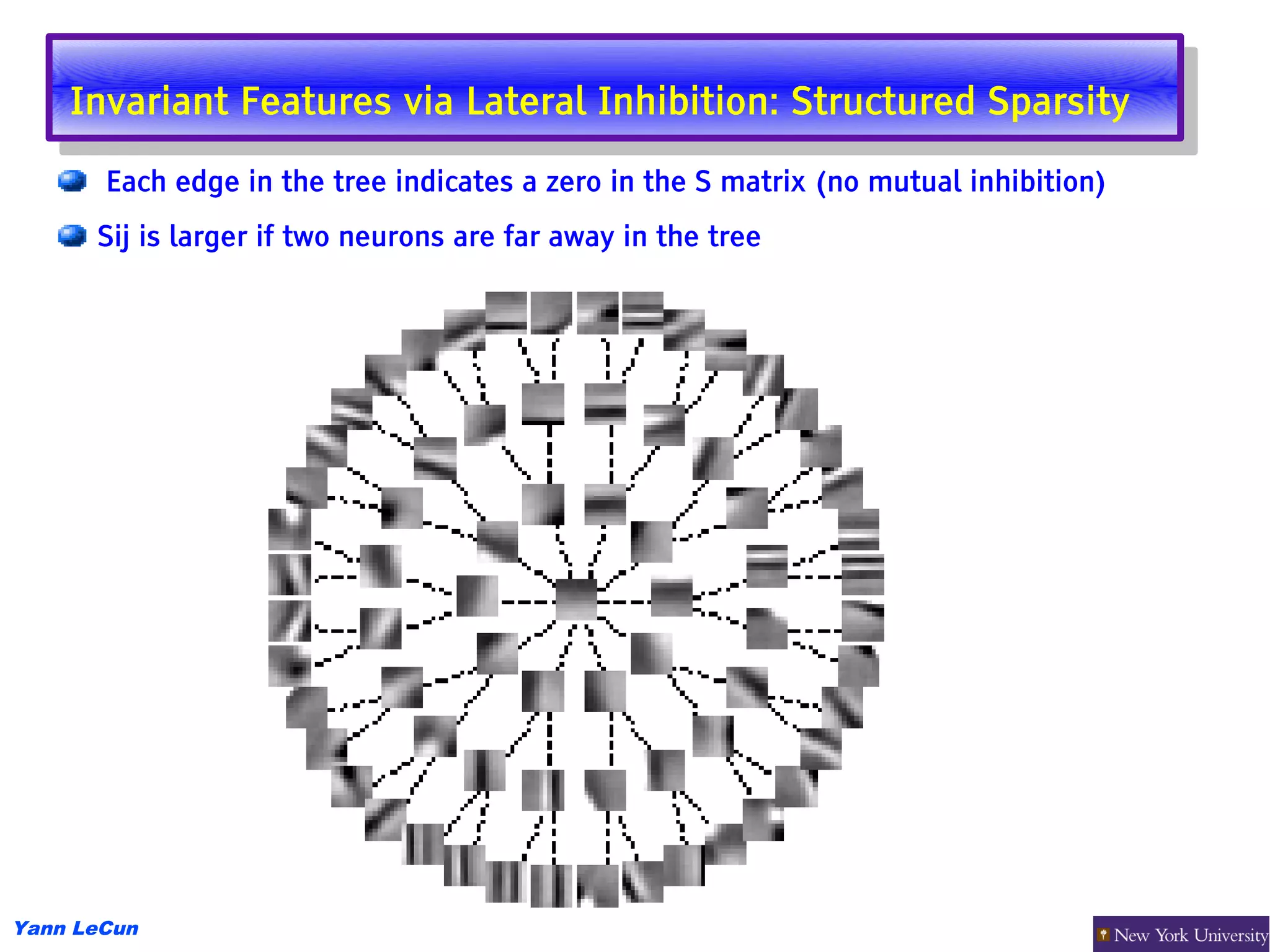 Invariant Features via Lateral Inhibition: Structured Sparsity
     Invariant Features via Lateral Inhibition: Structured Sparsity
       Each edge in the tree indicates a zero in the S matrix (no mutual inhibition)
      Sij is larger if two neurons are far away in the tree




Yann LeCun
 