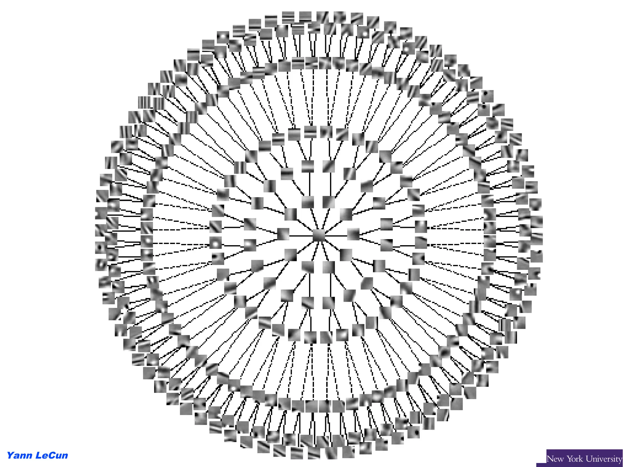 Yann LeCun
 