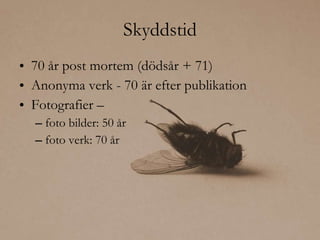 Skyddstid 70 år post mortem (dödsår + 71) Anonyma verk - 70 är efter publikation Fotografier – foto bilder: 50 år  foto verk: 70 år 