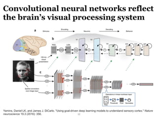 Convolutional neural networks reflect
the brain’s visual processing system
!11
Yamins, Daniel LK, and James J. DiCarlo. "U...