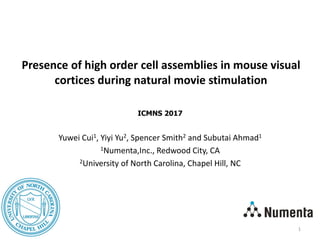 ICMNS 2017
Yuwei Cui1, Yiyi Yu2, Spencer Smith2 and Subutai Ahmad1
1Numenta,Inc., Redwood City, CA
2University of North Carolina, Chapel Hill, NC
Presence of high order cell assemblies in mouse visual
cortices during natural movie stimulation
1
 