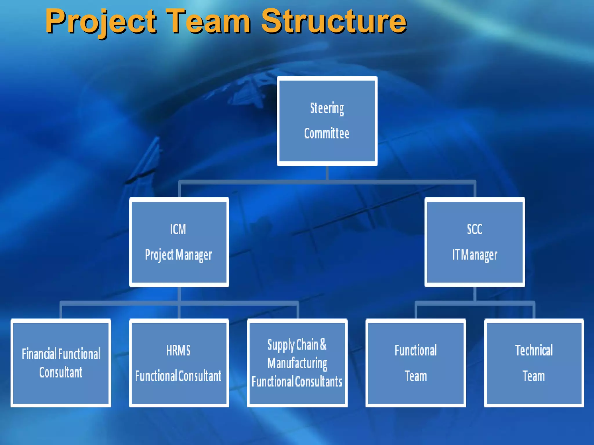Project Team Structure
 