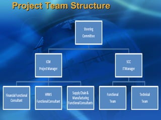 Project Team Structure
 