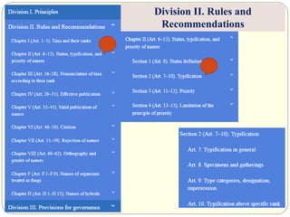 Division II. Rules and
Recommendations
 