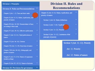 Division II. Rules and
Recommendations
 