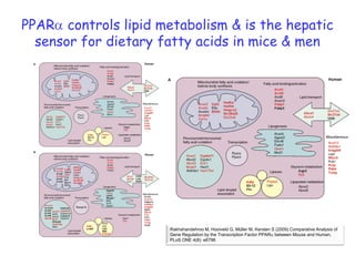 PPAR controls lipid metabolism & is the hepatic
  sensor for dietary fatty acids in mice & men




                      Rakhshandehroo M, Hooiveld G, Müller M, Kersten S (2009) Comparative Analysis of
                      Gene Regulation by the Transcription Factor PPAR between Mouse and Human.
                      PLoS ONE 4(8): e6796
 