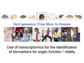 Nutrigenomics: From Mice to Humans




Use of transcriptomics for the identification
 of biomarkers for organ function / vitality
 
