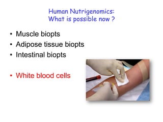 Human Nutrigenomics:
           What is possible now ?

• Muscle biopts
• Adipose tissue biopts
• Intestinal biopts

• White blood cells
 