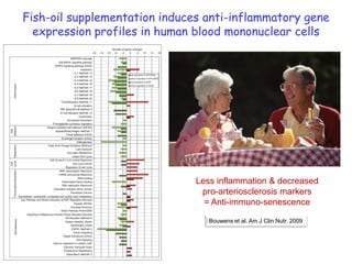 Fish-oil supplementation induces anti-inflammatory gene
  expression profiles in human blood mononuclear cells




                               Less inflammation & decreased
                                pro-arteriosclerosis markers
                                 = Anti-immuno-senescence

                                  Bouwens et al. Am J Clin Nutr. 2009
 