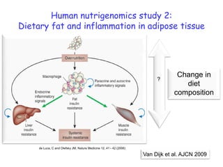 Human nutrigenomics study 2:
Dietary fat and inflammation in adipose tissue




                                                                                  Change in
                                                                          ?
                                                                                    diet
                                                                                 composition




     de Luca, C and Olefsky JM, Nature Medicine 12, 41 - 42 (2006)

                                                                     Van Dijk et al. AJCN 2009
 