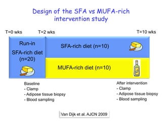 Design of the SFA vs MUFA-rich
                     intervention study

T=0 wks          T=2 wks                                             T=10 wks

     Run-in                   SFA-rich diet (n=10)
  SFA-rich diet
    (n=20)
                            MUFA-rich diet (n=10)

          Baseline                                        After intervention
          - Clamp                                         - Clamp
          - Adipose tissue biopsy                         - Adipose tissue biopsy
          - Blood sampling                                - Blood sampling


                              Van Dijk et al. AJCN 2009
 