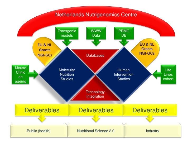 N Health And Food Technology Tests N Health And Food Technology Tests