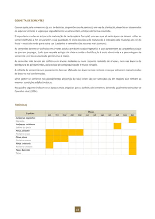19
COLHEITA DE SEMENTES
Caso se opte pela sementeira (p. ex. de bolotas, de pinhões ou de penisco), em vez da plantação, deverão ser observados
os aspetos técnicos e legais que seguidamente se apresentam, embora de forma resumida.
É importante conhecer a época de maturação de cada espécie florestal, uma vez que só nesta época se devem colher as
sementes/frutos a fim de garantir a sua qualidade. O início da época de maturação é indicado pela mudança de cor do
fruto – muda de verde para outra cor (castanho e vermelho são as cores mais comuns).
As sementes devem ser colhidas em árvores adultas em bom estado vegetativo e que apresentem as características que
se querem propagar, dado que naquele estágio de idade e saúde a frutificação é mais abundante e a percentagem de
sementes com boa capacidade germinativa é maior.
As sementes não devem ser colhidas em árvores isoladas ou num conjunto reduzido de árvores, nem nas árvores de
bordadura de povoamentos, pois o risco de consanguinidade é muito elevado.
A colheita de sementes num povoamento deve ser efetuada nas árvores mais centrais e nas que estiverem mais afastadas
de árvores mal conformadas.
Deve colher-se semente nos povoamentos próximos do local onde vão ser utilizadas ou em regiões que tenham as
mesmas condições edafoclimáticas.
No quadro seguinte indicam-se as épocas mais propícias para a colheita de sementes, devendo igualmente consultar-se
Carvalho et al. (2014).
Resinosas
Espécies
Meses
jan fev mar abr mai jun jul ago set out nov dez
Juniperus oxycedrus
Oxicedro
Juniperus turbinata
Sabina-da-praia
Pinus pinaster
Pinheiro-bravo
Pinus pinea
Pinheiro-manso
Pinus sylvestris
Pinheiro-silvestre
Taxus baccata
Teixo
 