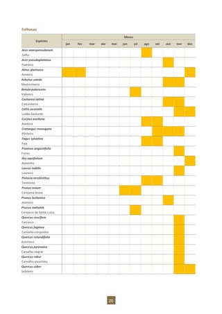 20
Folhosas
Espécies
Meses
jan fev mar abr mai jun jul ago set out nov dez
Acer monspessulanum
Zelha
Acer pseudoplatanus
Padreiro
Alnus glutinosa
Amieiro
Arbutus unedo
Medronheiro
Betula pubescens
Vidoeiro
Castanea sativa
Castanheiro
Celtis australis
Lodão-bastardo
Corylus avellana
Aveleira
Crataegus monogyna
Pilriteiro
Fagus sylvatica
Faia
Fraxinus angustifolia
Freixo
Ilex aquifolium
Azevinho
Laurus nobilis
Loureiro
Pistacia terebinthus
Terebinto
Prunus avium
Cerejeira-brava
Prunus lusitanica
Azereiro
Prunus mahaleb
Cerejeira de Santa-Luzia
Quercus coccifera
Carrasco
Quercus faginea
Carvalho-cerquinho
Quercus rotundifolia
Azinheira
Quercus pyrenaica
Carvalho-negral
Quercus robur
Carvalho-alvarinho
Quercus suber
Sobreiro
 