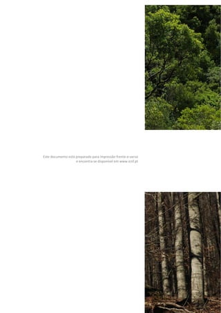 Este documento está preparado para impressão frente-e-verso
e encontra-se disponível em www.icnf.pt
 