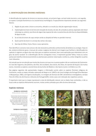 2
2. IDENTIFICAÇÃO DAS ÁRVORES INDÍGENAS
A identificação das espécies de árvores na natureza atende, em primeiro lugar, ao local onde ocorrem e, em seguida,
ao aspeto e variação fisionómicos e às características morfológicas. É especialmente importante atender aos seguintes
fatores:
1. Região do país onde a árvore se encontra, altitude e se resulta (ou não) de regeneração natural;
2. Implantação da árvore no terreno (em situação de encosta, de vale, de cumeada ou plana), exposição solar (local
solarengo ou umbria), ocorrência de algum tipo especial de solo e característica do sítio face às disponibilidades
de água no solo;
3. Se se trata de árvore de copa sempre-verde ou despida de folhas no período invernal;
4. Qual o porte da árvore e o arranjo dos ramos e da copa;
5. Que tipo de folhas, frutos, flores e casca apresenta.
Para identificar as árvores mais comuns não são necessários profundos conhecimentos de botânica ou ecologia. Hoje em
dia, existem já diversos guias e manuais de campo e páginas da internet com imagens que facilitam a identificação (no
capítulo 4, sugerem-se alguns dos mais úteis para as espécies nacionais), bem como aplicações para telemóveis com um
grau de acerto razoável. Se a identificação não for conseguida in loco, é importante guardar folhas, frutos ou outras
partes (sem danificar desnecessariamente as plantas) para posterior observação e análise ou, ainda, fotografar as partes
mais relevantes.
Há contudo que ter em atenção que muitas das árvores com que nos cruzamos podem não ser autóctones do Continente:
é o caso das nogueiras, dos plátanos, das tílias, dos eucaliptos, das acácias, das olaias, do cipreste-do-buçaco e de muitas
outras, incluindo as espécies características da laurissilva da Madeira e dos Açores (como o vinhático ou o til).
Nas páginas seguintes são apresentadas imagens e informação sucinta sobre as espécies florestais indígenas do
Continente, sendo os mapas retirados sobretudo de Bingre et al. (2007) e da Carta Ecológica de Portugal (Pina Manique
e Albuquerque, 1982), com ligeiras atualizações, e as imagens de técnicos do ICNF, de botânicos investigadores, da base
Flora-On (FO) e do site Árvores e Arbustos de Portugal (AAP), nestes casos com indicação dos respetivos autores.
É importante notar que os mapas reproduzem a área de distribuição natural, com os dados hoje conhecidos, e não os
locais onde as espécies efetivamente ocorrem, muitas sendo cultivadas para além da área demarcada.
Espécies resinosas
Juniperus communis
Zimbro-comum, zimbro-anão
Quase sempre de porte arbustivo, é
característico das maiores altitudes
das serras do Gerês e da Estrela.
Distribui-se pelas regiões mais frias de
todo o hemisfério Norte. Com as suas
“bagas” produz-se a aguardente de
zimbro e condimentam-se pratos
regionais.
Juniperus navicularis
Piorro
Normalmente um arbusto, podendo
no entanto ultrapassar os 6 m ou mais
de altura, com tronco bem
diferenciado. Muito ornamental, é
uma espécie arborescente exclusiva
das areias litorais do Centro e
Sudoeste, suportando o
ensombramento dos pinhais
 