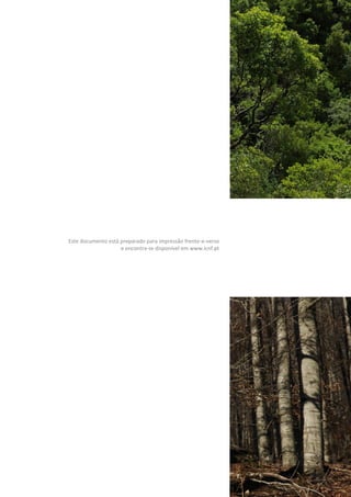 Este documento está preparado para impressão frente-e-verso
e encontra-se disponível em www.icnf.pt
 